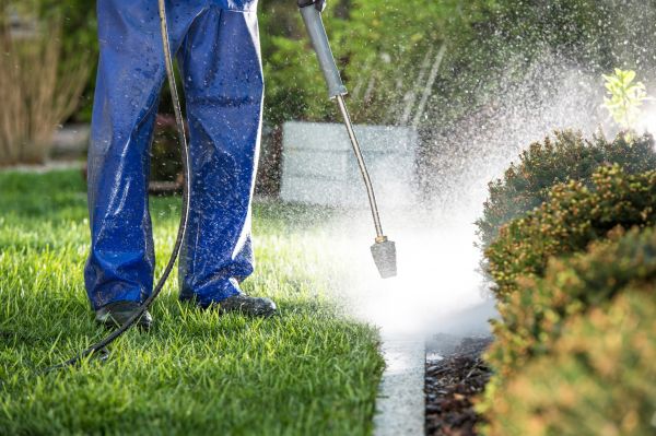 Curb Cleaning in Merced