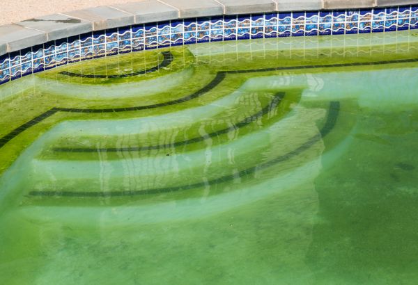 Pool Deck Algae Removal in Merced